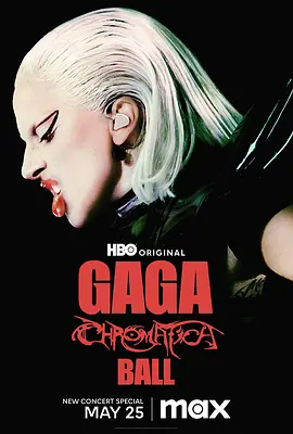 Lady Gaga：神彩巡回演唱会-年糕资源网