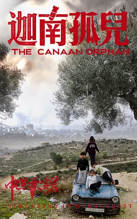 中东大宝荐2：迦南孤儿-年糕资源网