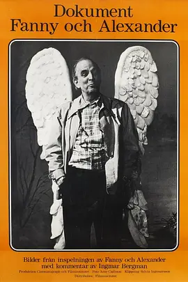 芬妮和亚历山大的诞生-年糕资源网