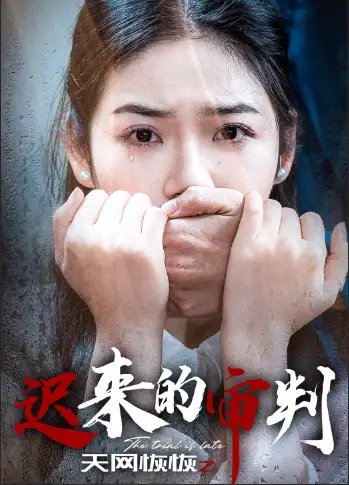 天网恢恢之迟来的审判（31集）-年糕资源网