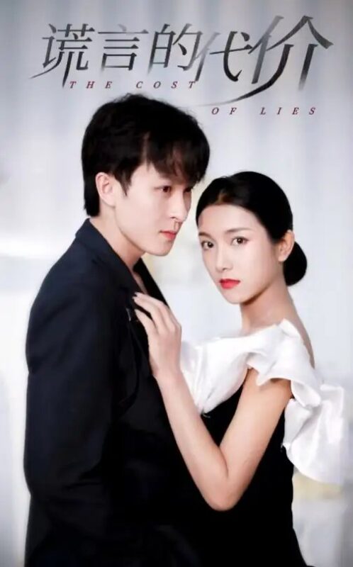 谎言的代价（30集）卢c鹿鹿-年糕资源网