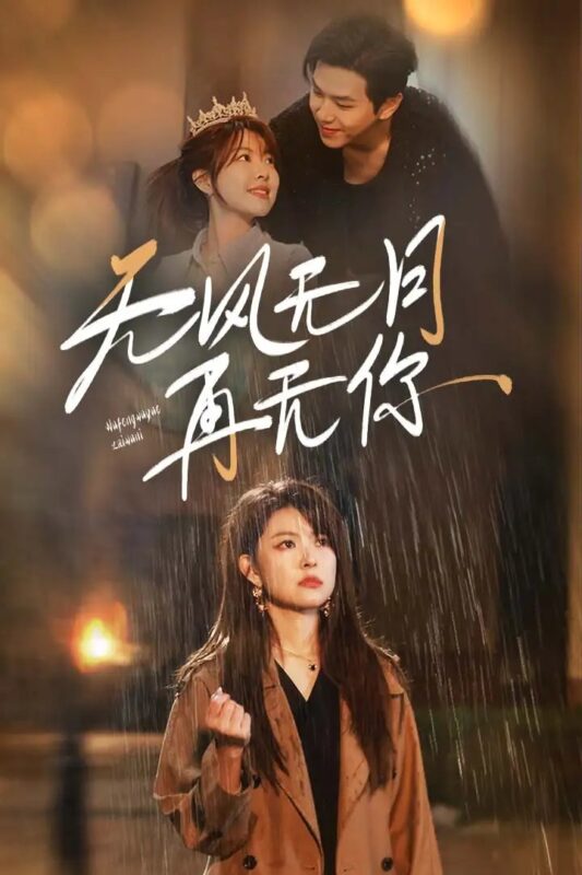 无风无月再无你（36集）-年糕资源网