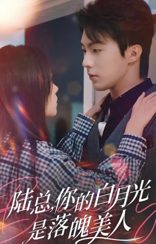 陆总，你的白月光是落魄美人（39集）刘兰博&田苗苗-年糕资源网