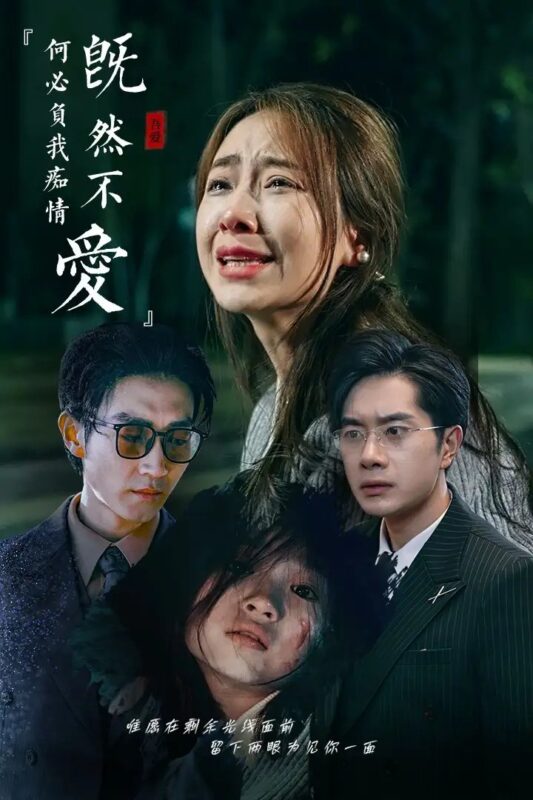 既然不爱何必负我痴情（53集）-年糕资源网