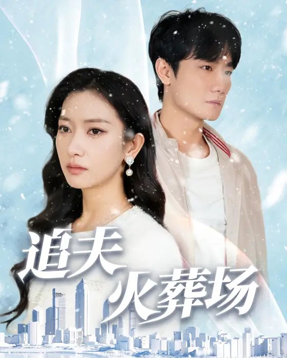 追夫火葬场（31集）-年糕资源网