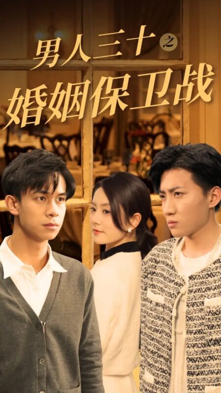男人三十之婚姻保卫战（31集）-年糕资源网