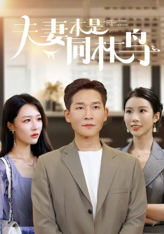 夫妻本是同林鸟（76集）李可馨&钟莹玲-年糕资源网