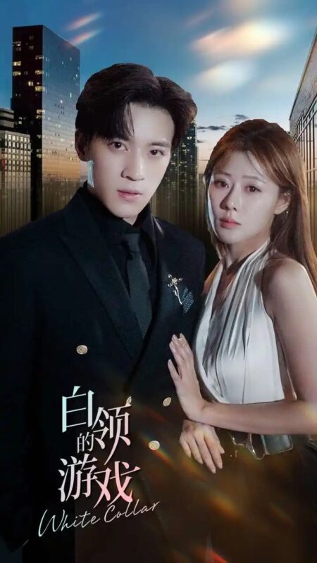 白领的游戏（75集）武鸿蕊-年糕资源网