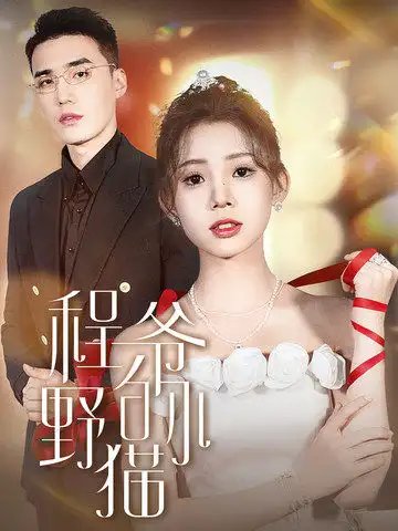 程爷的小野猫（40集）-年糕资源网