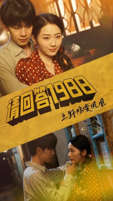 请回答1988之野鸡变凤凰（81集）-年糕资源网