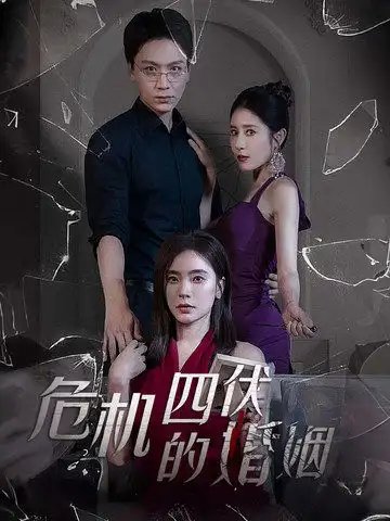 危机四伏的婚姻（56集）-年糕资源网