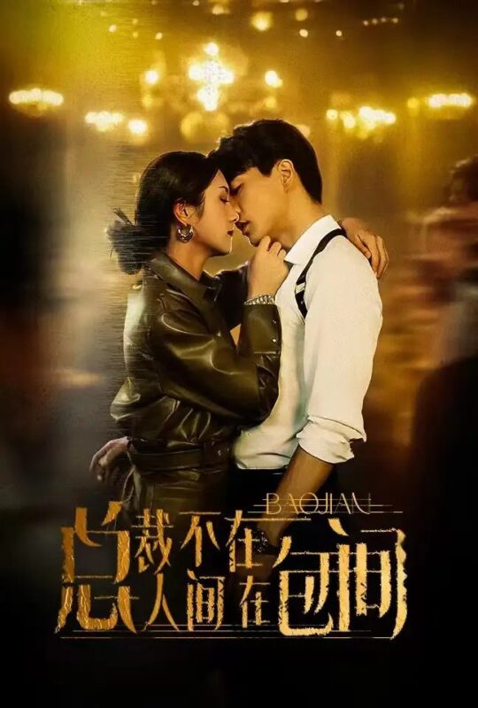 总裁不在人间在包间（75集）卢c鹿鹿-年糕资源网