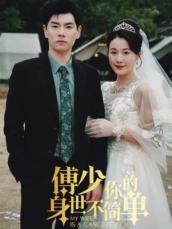 傅少你的身世不简单（89集）-年糕资源网