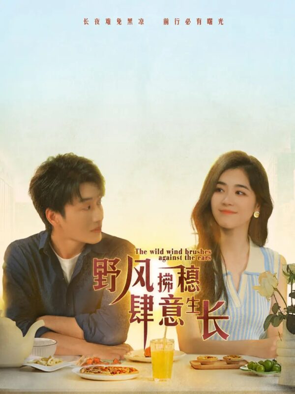 野风拂穗肆意生长（48集）-年糕资源网