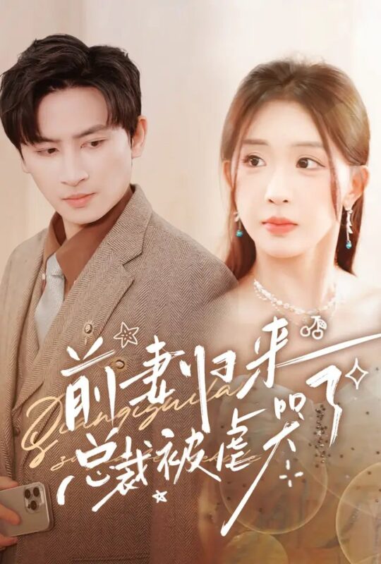 前妻归来总裁被虐哭了（76集）-年糕资源网