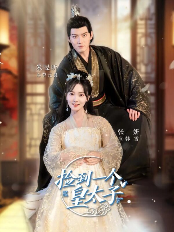 捡到一个皇太子（80集）-年糕资源网