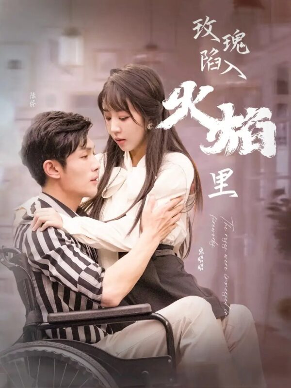 玫瑰陷入火焰里（100集）彭丹丹-年糕资源网