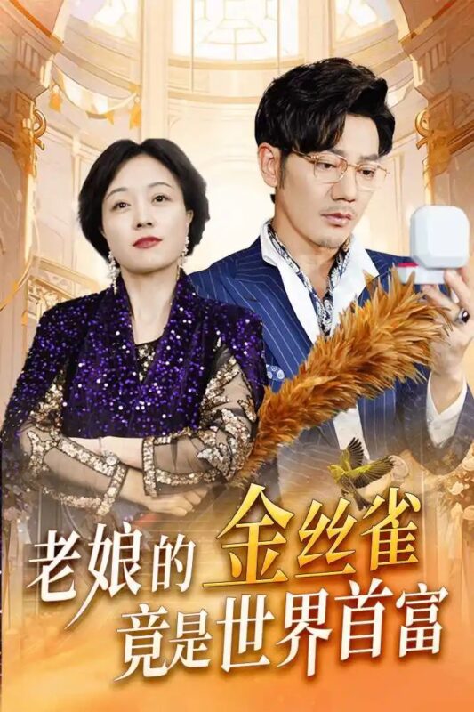老娘的金丝雀竟是世界首富（31集）-年糕资源网