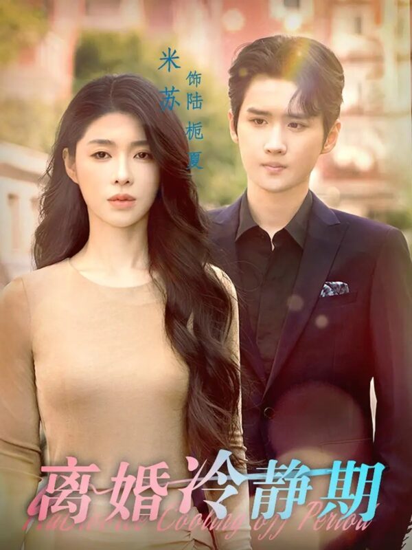 离婚冷静期（29集）-年糕资源网