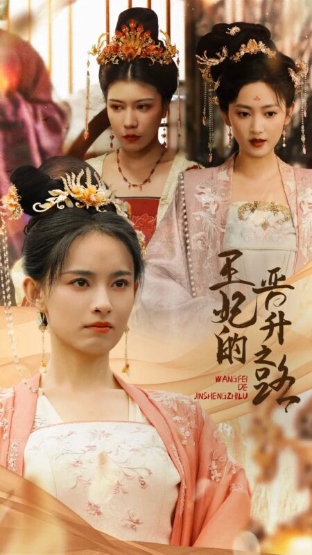 王妃的晋升之路（97集）-年糕资源网