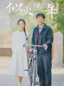 似火流年（100集）-年糕资源网