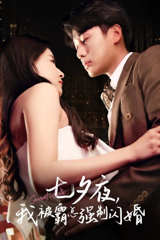 七夕夜我被霸总强制闪婚（77集）-年糕资源网