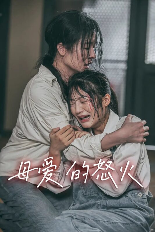 母爱的怒火（28集）-年糕资源网