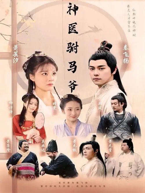 神医驸马爷（80集）穿越剧-年糕资源网