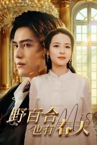 野百合也有春天（85集）王霭玲-年糕资源网