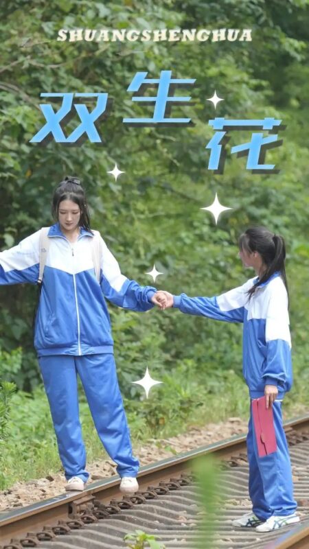 双生花（36集）-年糕资源网