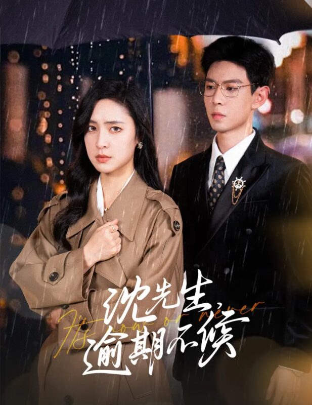 沈先生，逾期不候（75集）宋彧佳&黄浩雯-年糕资源网