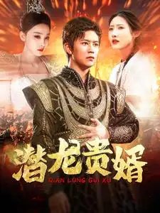 潜龙贵婿（89集）-年糕资源网