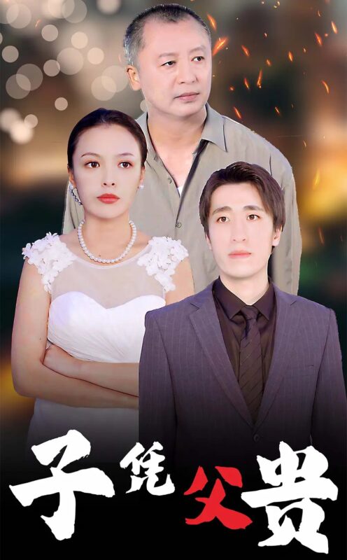 子凭父贵（27集）-年糕资源网