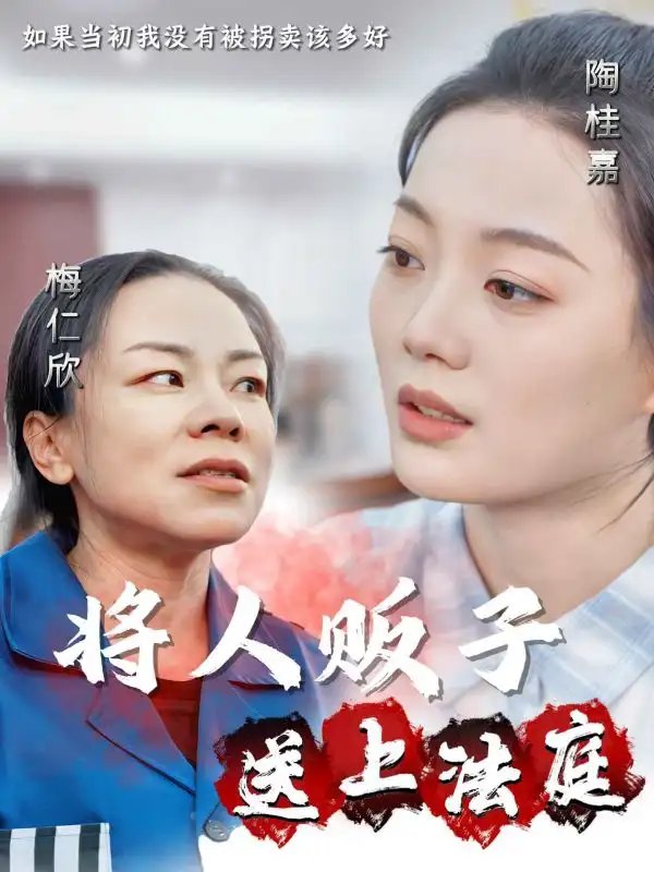 将人贩子送上法庭（30集）-年糕资源网