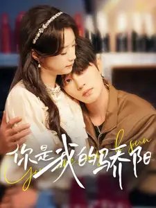 你是我的骄阳（100集）王小亿&陈云庭-年糕资源网