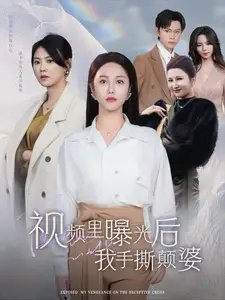 视频里曝光后我手撕颠婆（30集）-年糕资源网