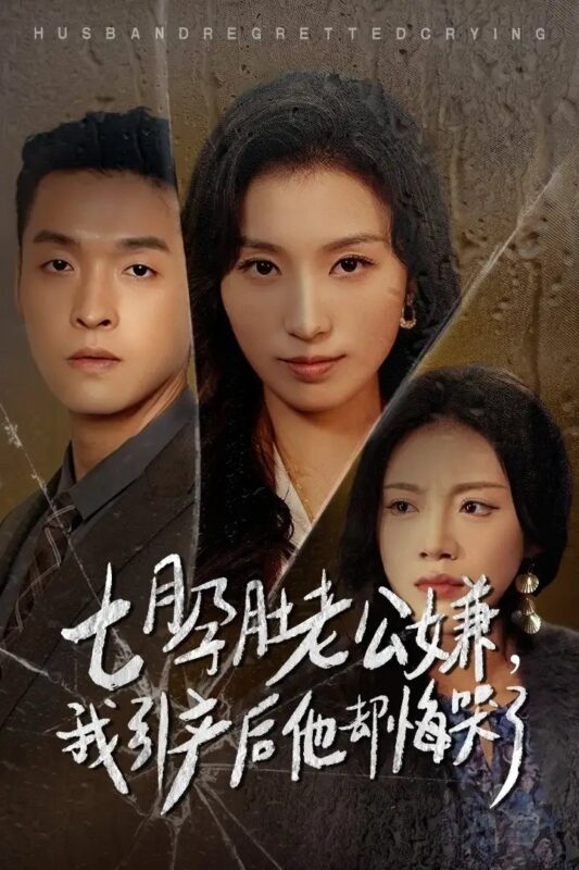 七月孕肚老公嫌，我引产后他却悔哭了（44集）虞彤彤-年糕资源网