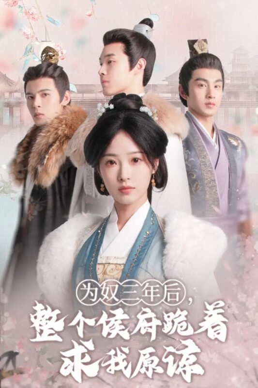 为奴三年后，整个侯府跪着求我原谅（68集）陆元-年糕资源网