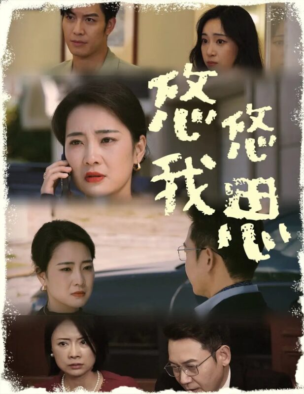 悠悠我思（60集）-年糕资源网