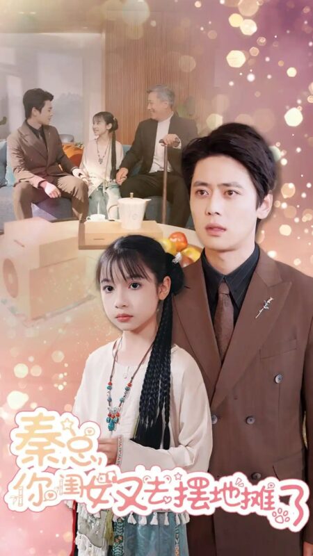 秦总你闺女又去摆地摊了（45集）-年糕资源网