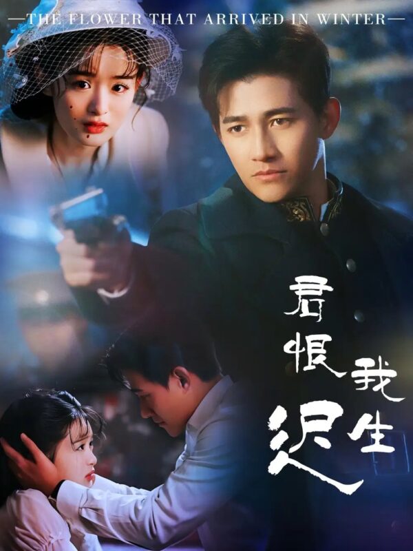 君恨我生迟＆司令府就是我的家（60集）李子锋＆李紫一-年糕资源网