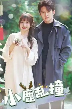 小鹿乱撞（40集）免费短剧夸克网盘资源全集-年糕资源网