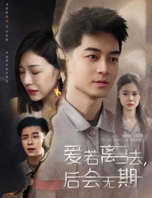 爱若离去＆爱若离去，后会无期（70集）章滢免费短剧夸克网盘资源全集-年糕资源网