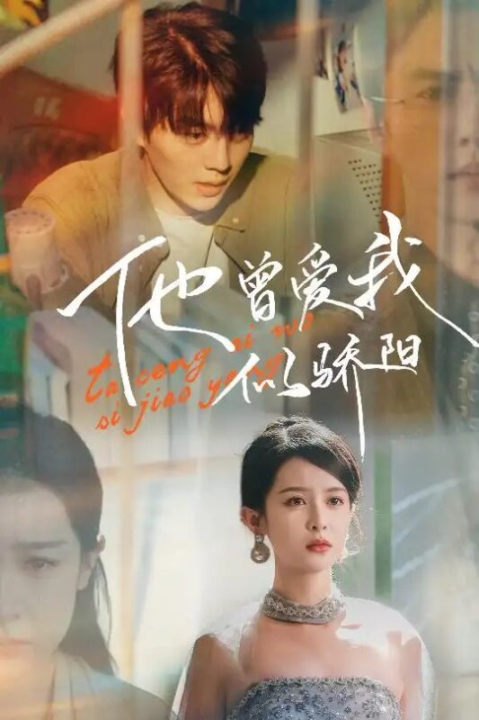 他曾爱我似骄阳（31集）王蔼玲免费短剧夸克网盘资源全集-年糕资源网