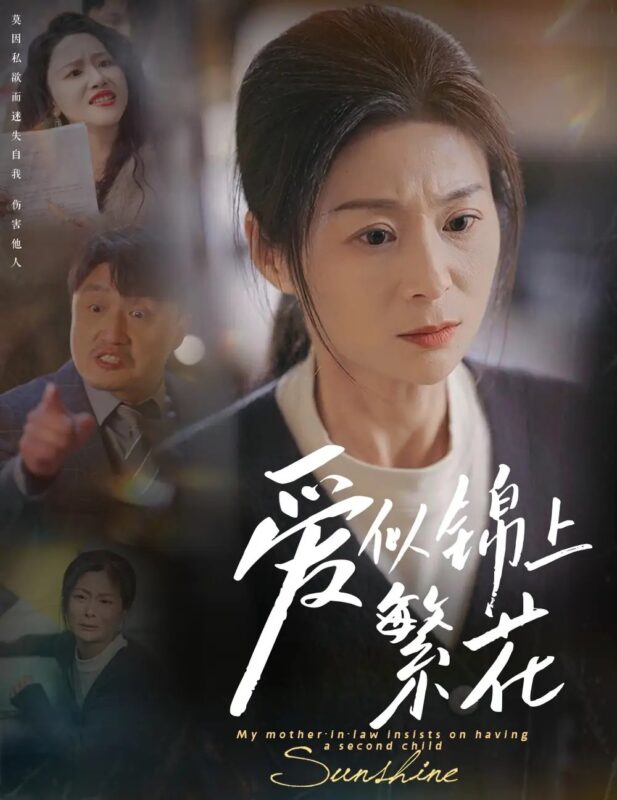 爱似锦上繁花（60集）邹佳颖&陈思琦 - 免费短剧资源全集-年糕资源网