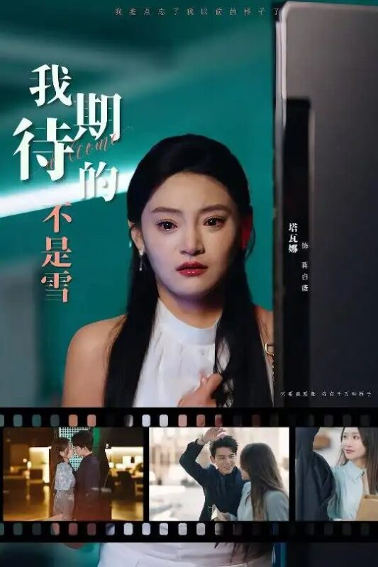 我期待的不是雪（30集）塔瓦娜 - 免费短剧资源全集-年糕资源网