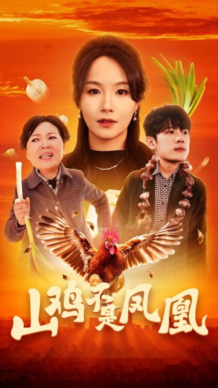 山鸡不是凤凰（52集） - 免费短剧资源全集-年糕资源网