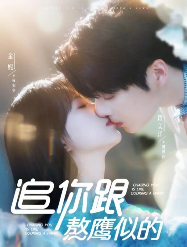 追你跟熬鹰似的（95集）段美洋＆金妮 - 免费短剧资源全集-年糕资源网