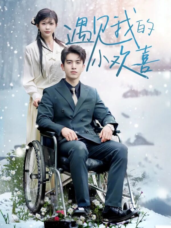 遇见我的小欢喜（70集） - 免费短剧资源全集-年糕资源网