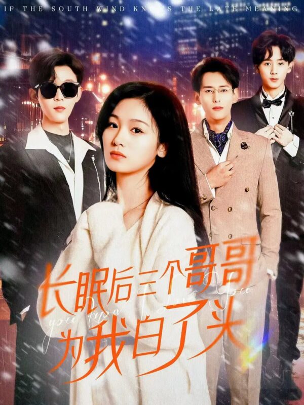 长眠后三个哥哥为我白了头（33集）田苗苗 - 免费短剧资源全集-年糕资源网